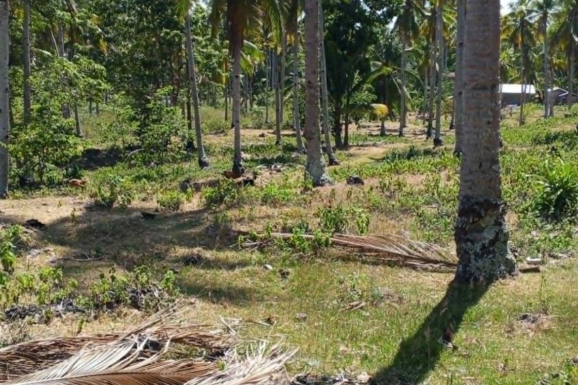 Land for Sale in Libertad, Samal, Davao del Norte – photo 8