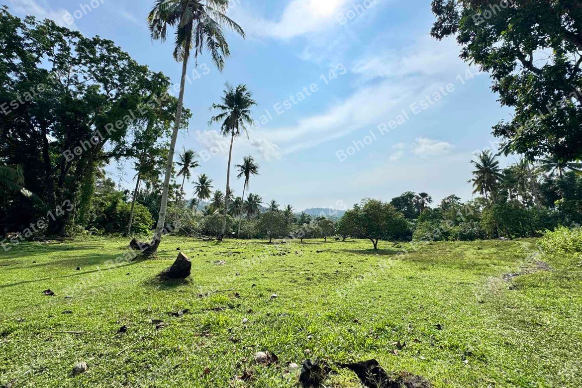 Land for Sale in Libertad, Tubigon, Bohol – photo 4