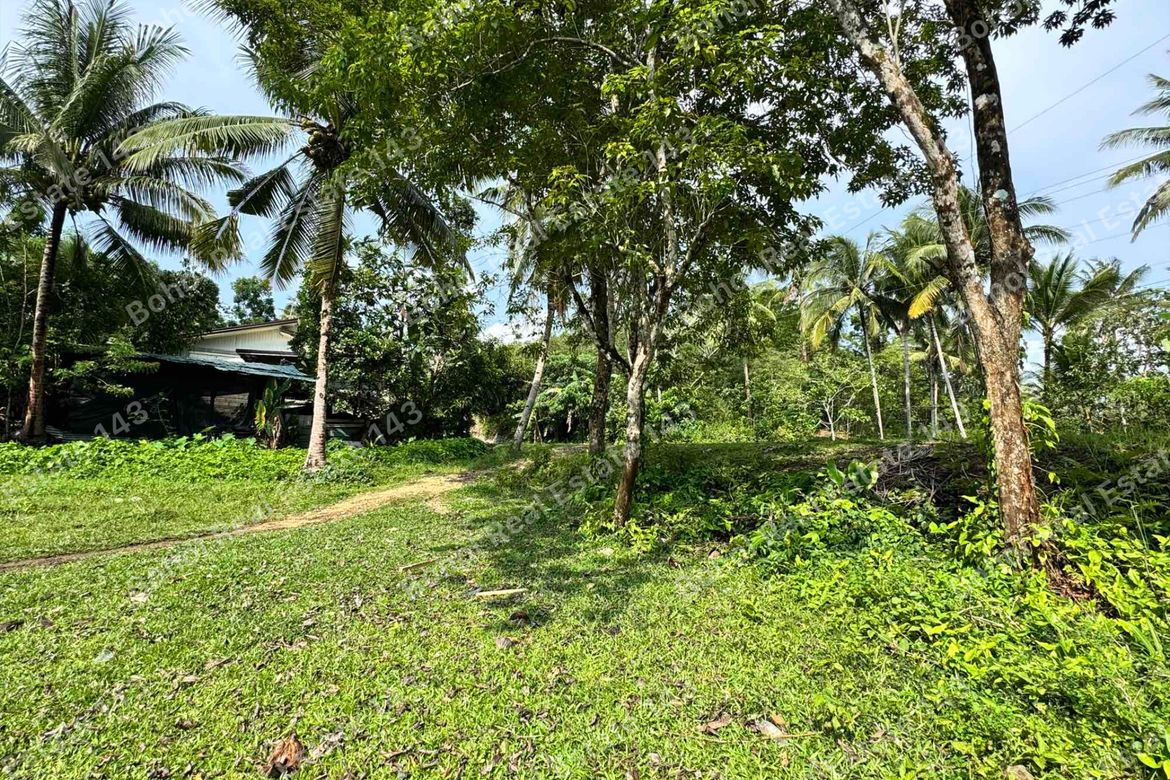 Land for Sale in Libertad, Tubigon, Bohol – photo 6