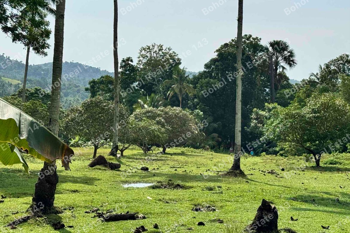 Land for Sale in Libertad, Tubigon, Bohol – photo 8