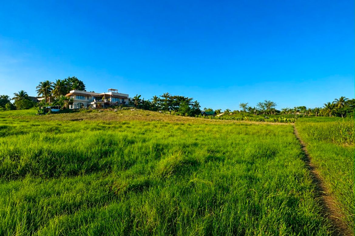 Land for Sale in Libertad Valley Estates, Libertad, General Luna, Surigao del Norte – photo 3