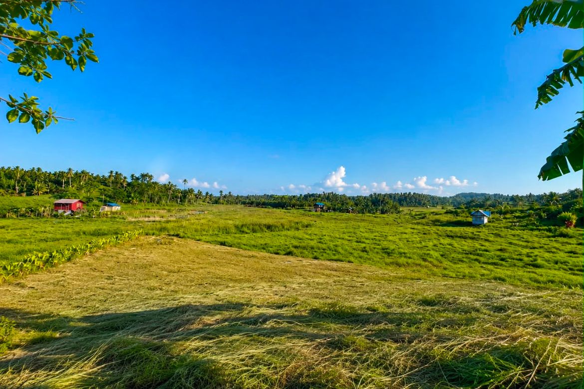 Land for Sale in Libertad Valley Estates, Libertad, General Luna, Surigao del Norte – photo 4