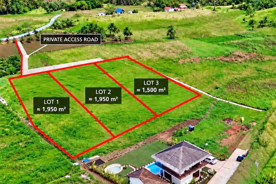 Land for Sale in Libertad Valley Estates, Libertad, General Luna, Surigao del Norte – photo 5