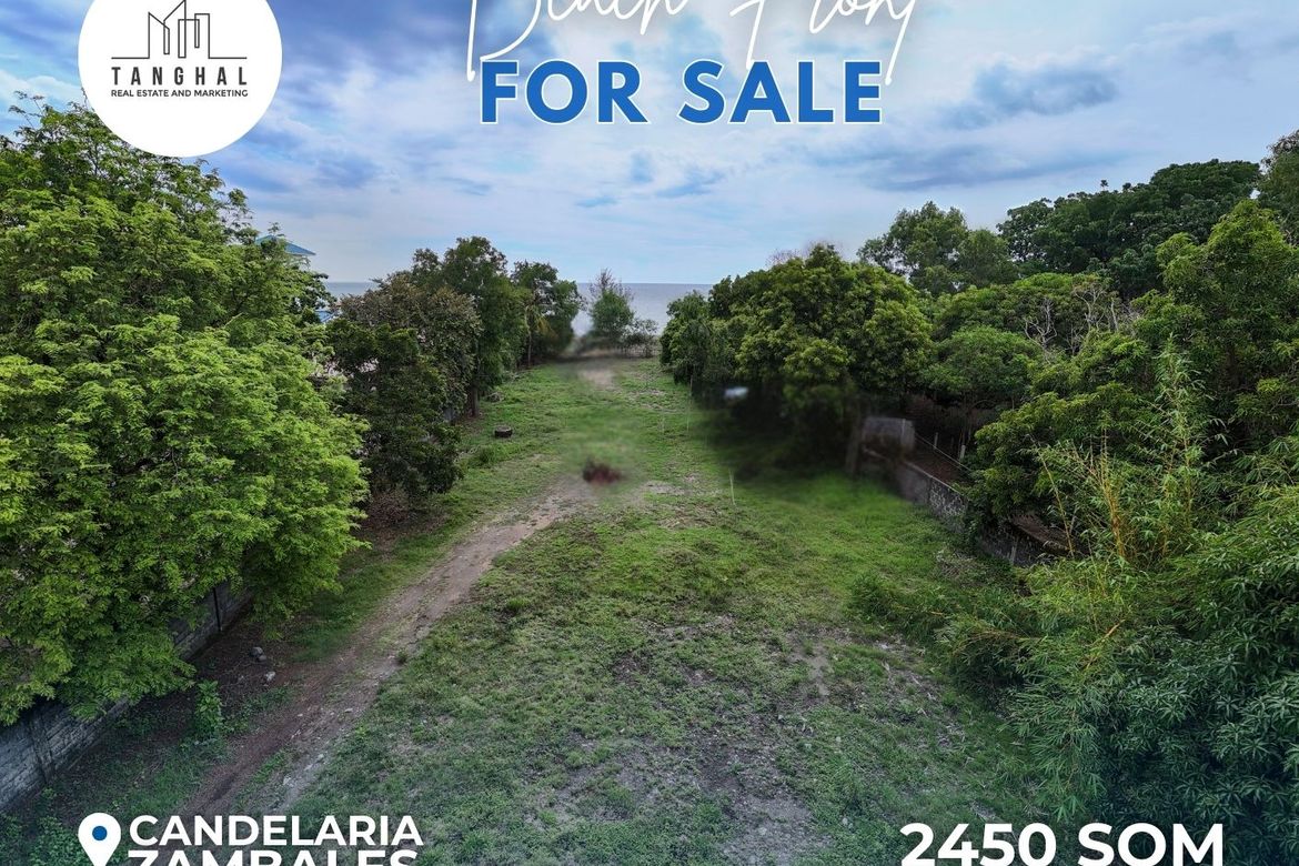 Land for Sale in Libertador, Candelaria, Zambales – photo 4
