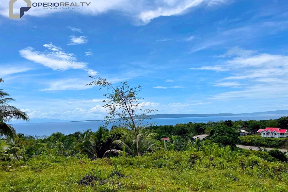 Land for Sale in Libjo, Merida, Leyte