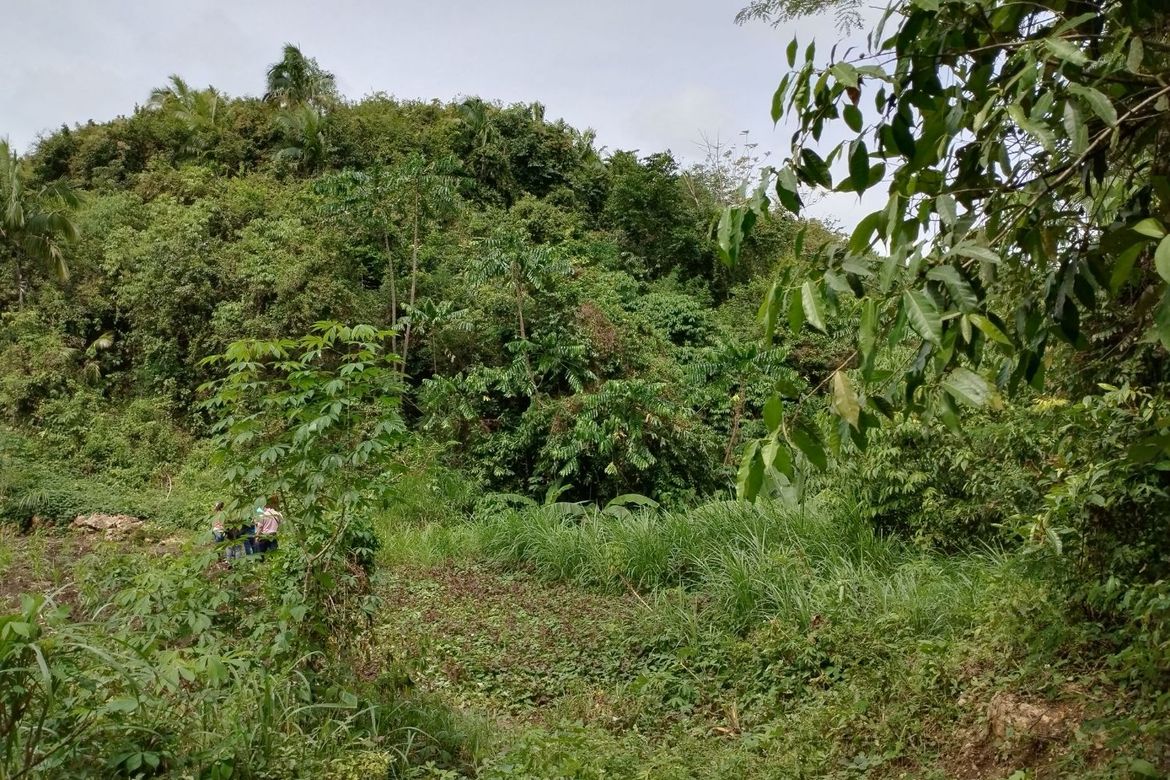 Land for Sale in Libjo, Tabogon, Cebu – photo 8