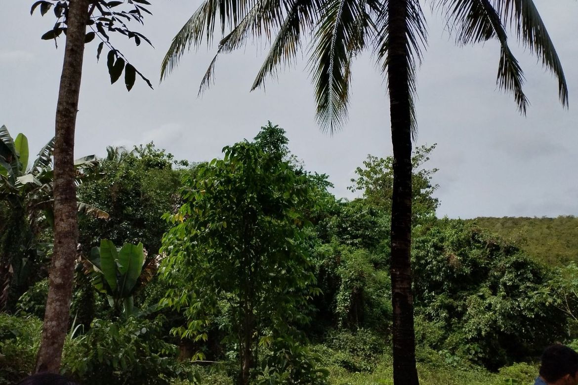 Land for Sale in Libjo, Tabogon, Cebu – photo 5