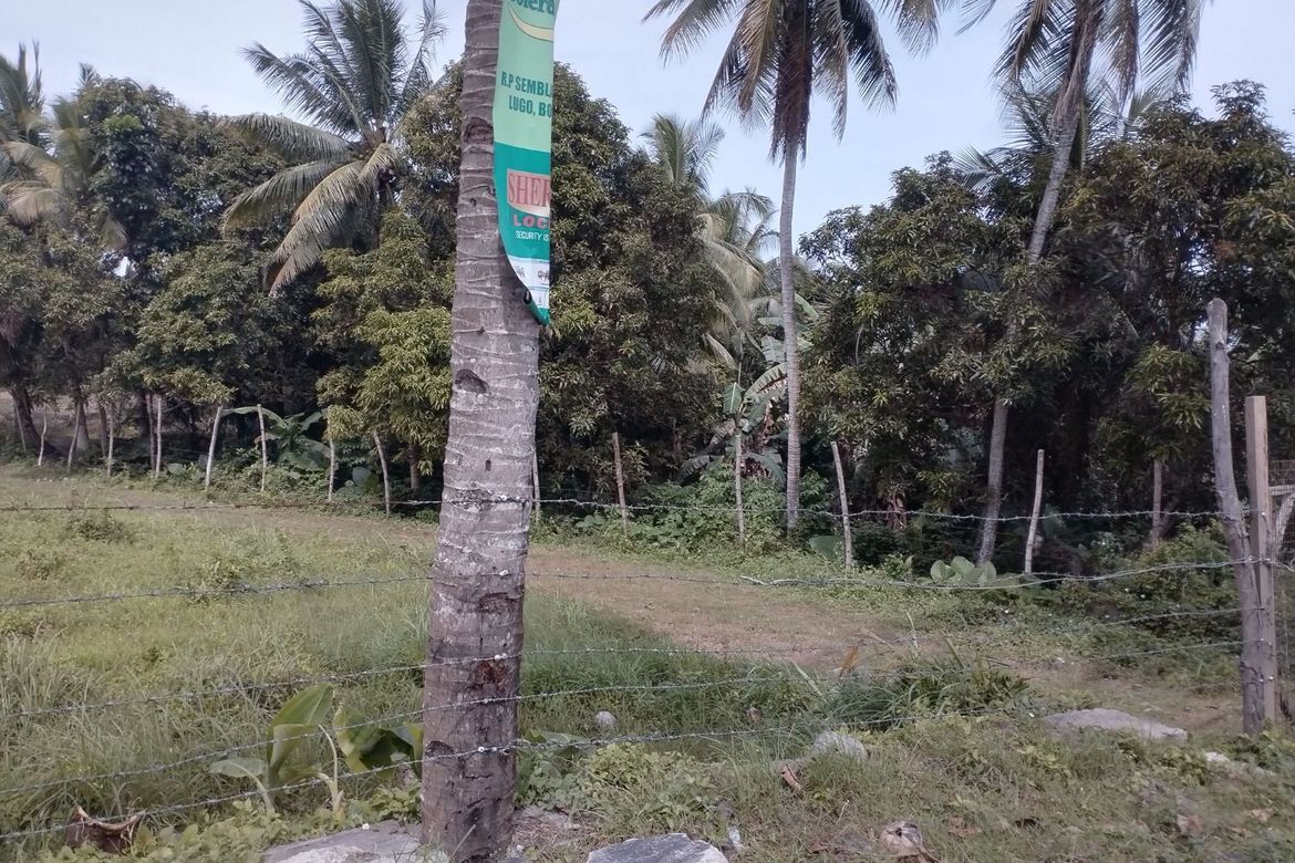 Land for Sale in Libjo, Tabogon, Cebu – photo 6