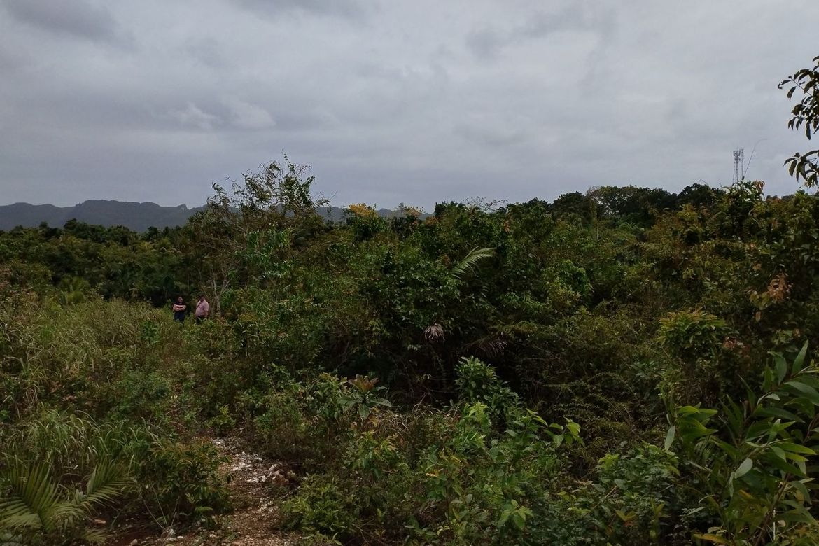 Land for Sale in Libjo, Tabogon, Cebu – photo 7