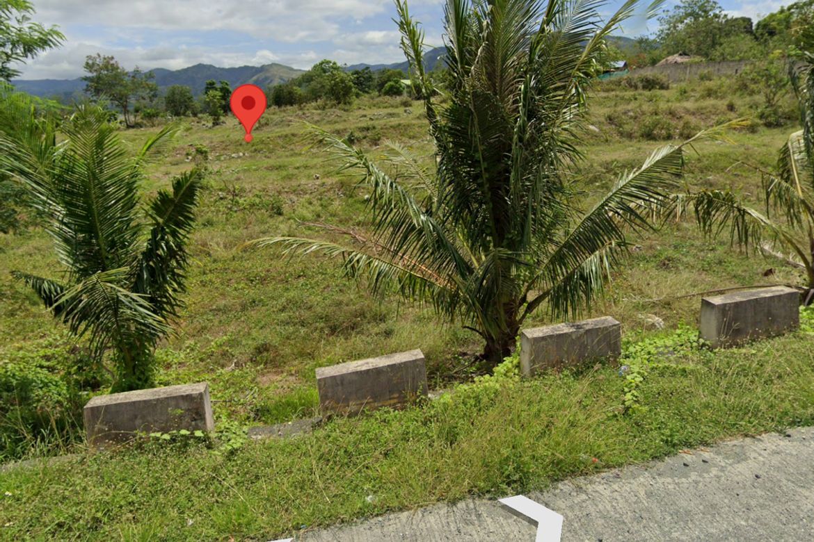Land for Sale in Ligaya, Gabaldon, Nueva Ecija – photo 5
