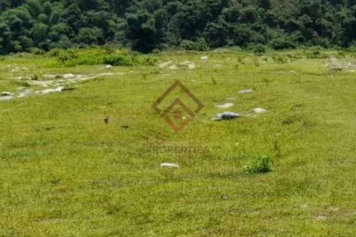 Land for Sale in Ligtasan, Tarlac, Tarlac – photo 4