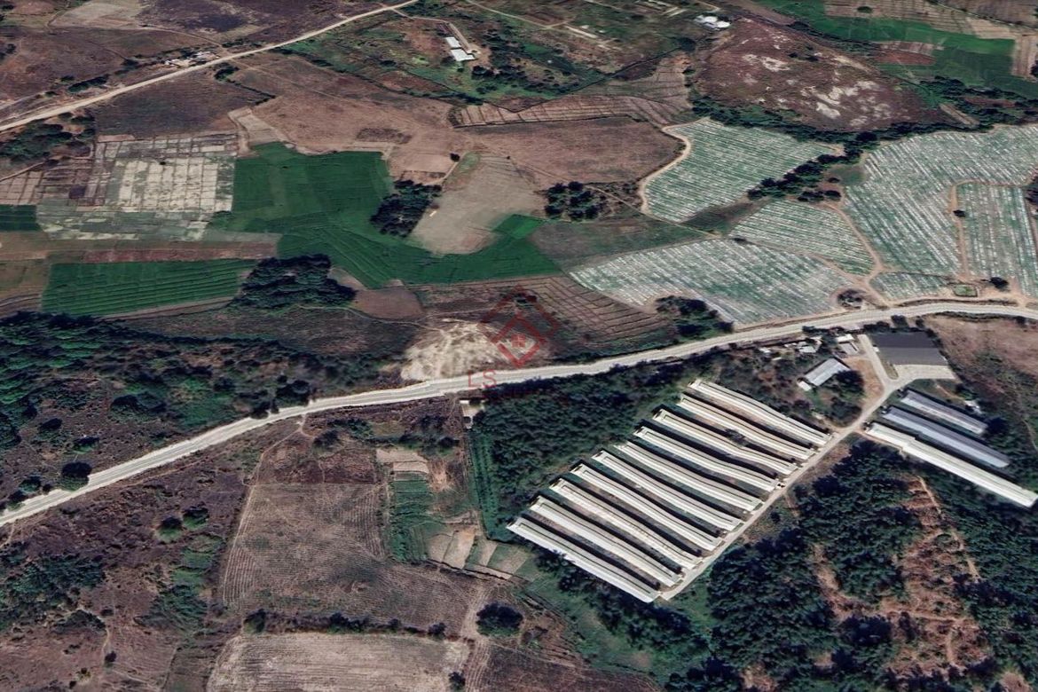Land for Sale in Ligtasan, Tarlac, Tarlac – photo 4