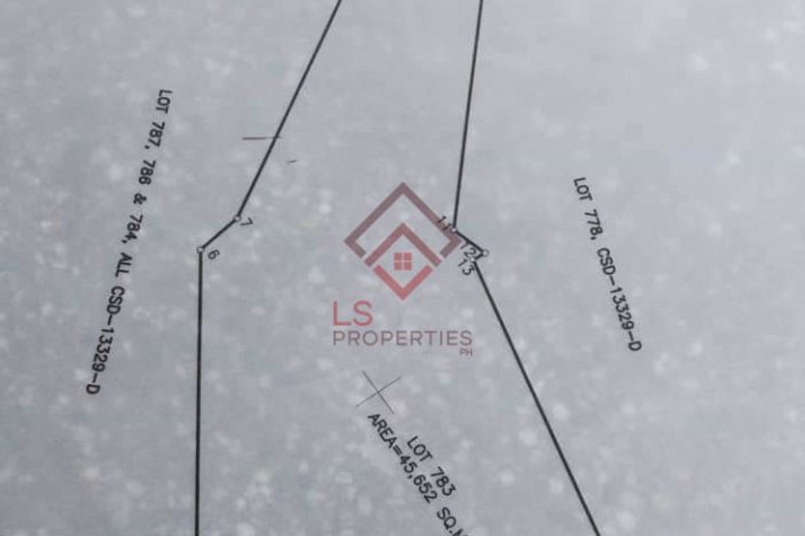Land for Sale in Ligtasan, Tarlac, Tarlac – photo 7