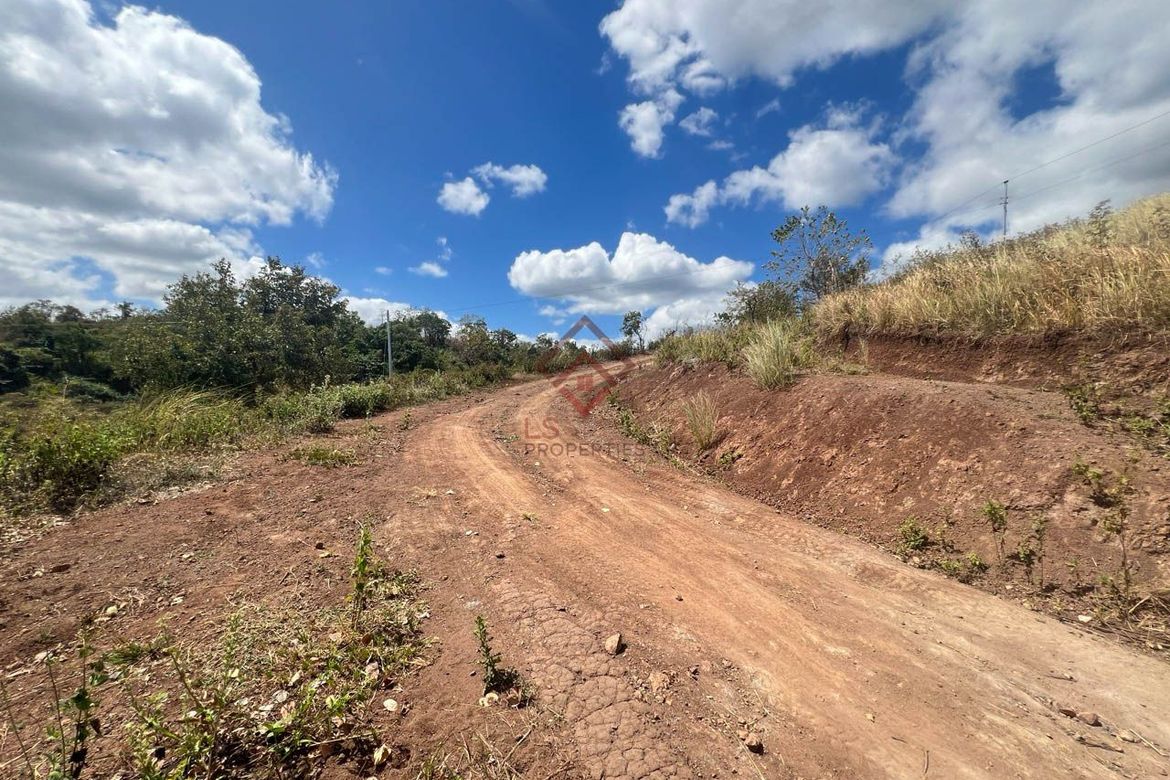 Land for Sale in Ligtasan, Tarlac, Tarlac