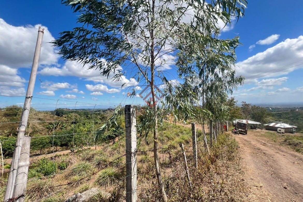Land for Sale in Ligtasan, Tarlac, Tarlac – photo 3