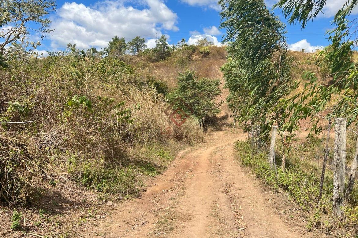 Land for Sale in Ligtasan, Tarlac, Tarlac – photo 4