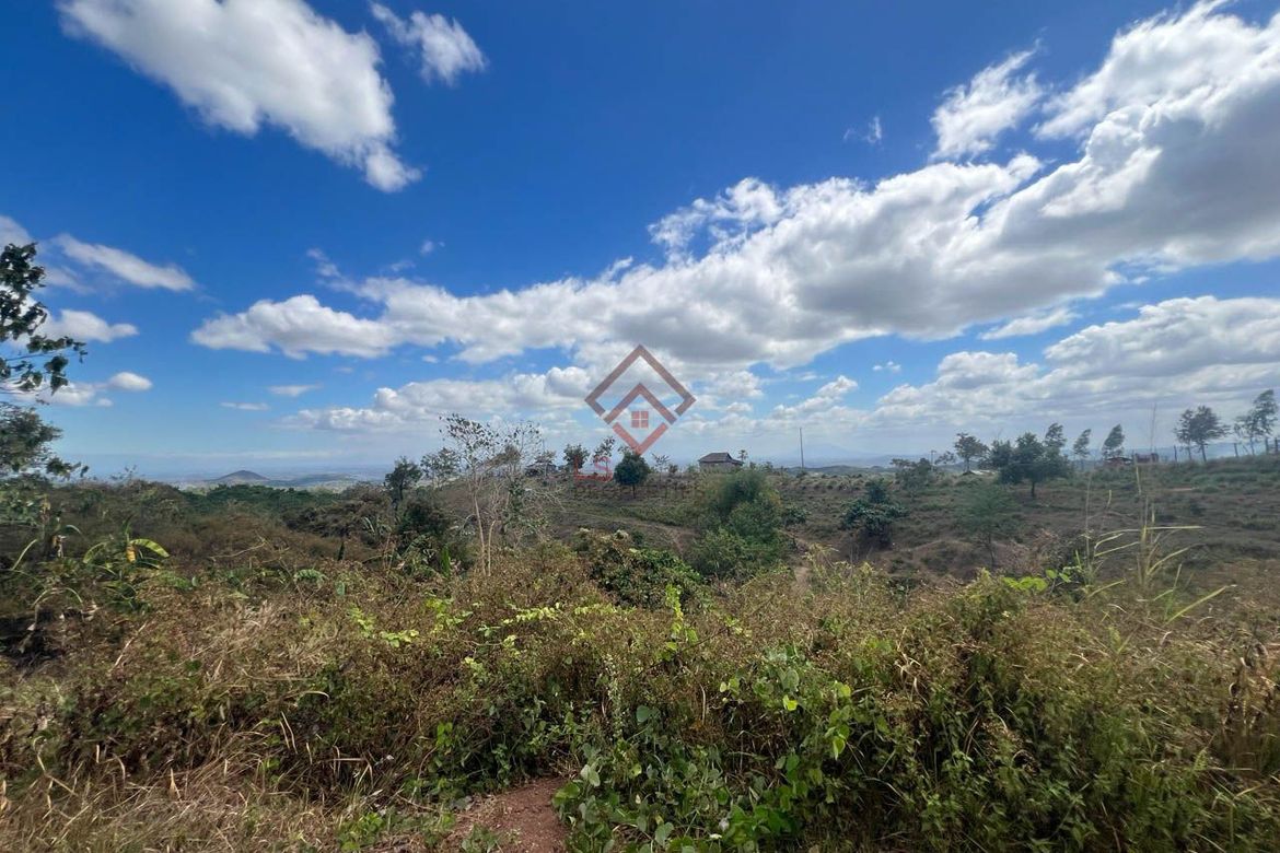 Land for Sale in Ligtasan, Tarlac, Tarlac – photo 7