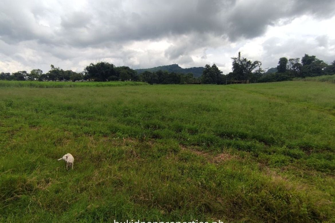 Land for Sale in Lilingayon, Valencia, Bukidnon