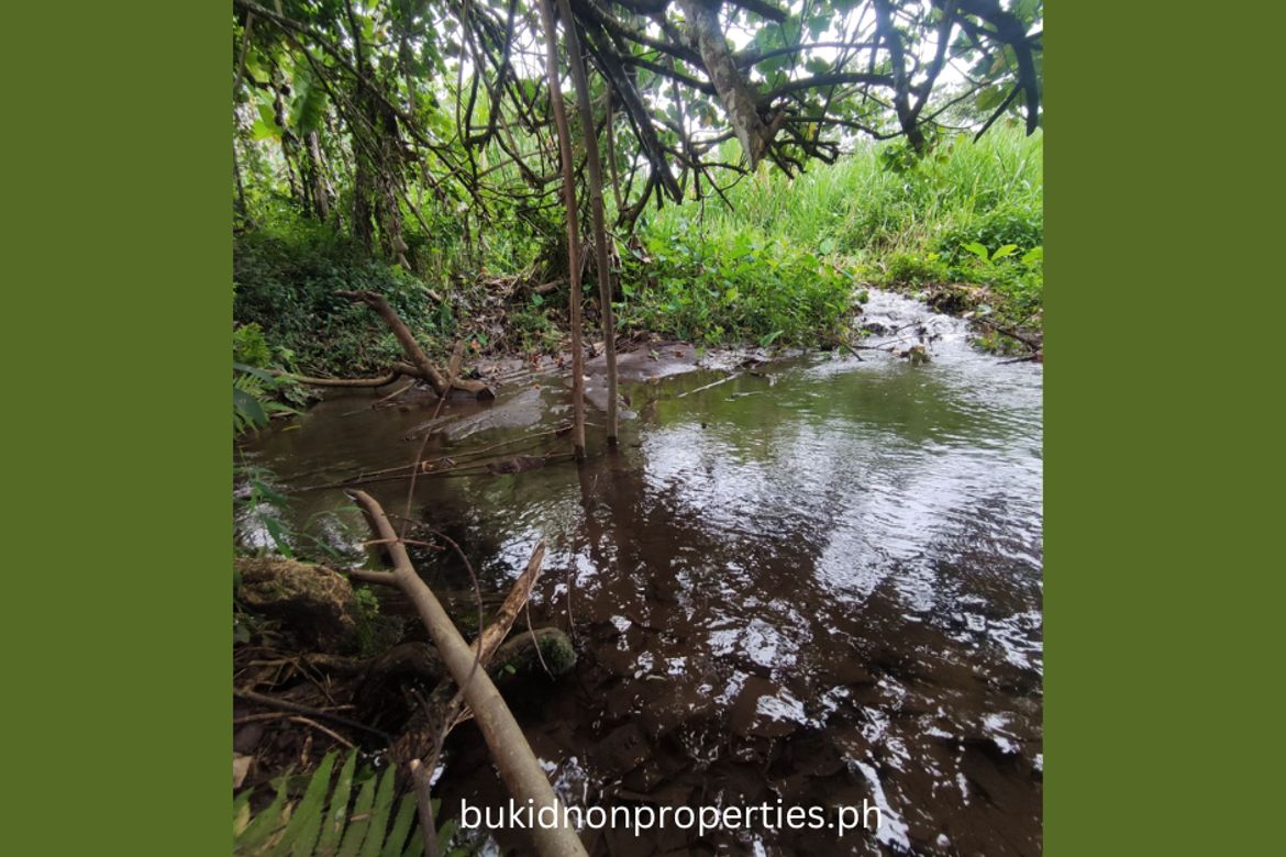 Land for Sale in Lilingayon, Valencia, Bukidnon – photo 4