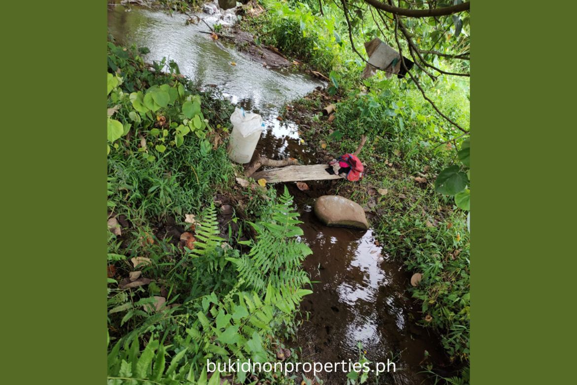 Land for Sale in Lilingayon, Valencia, Bukidnon – photo 5