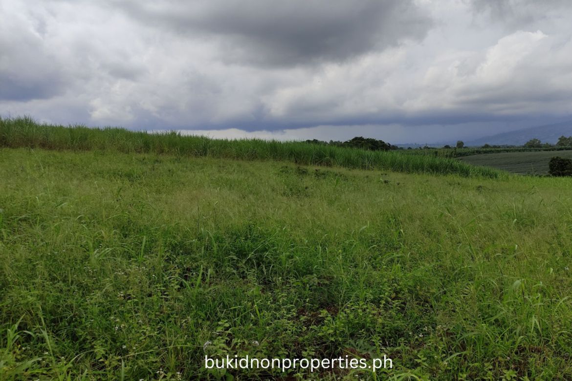 Land for Sale in Lilingayon, Valencia, Bukidnon – photo 6