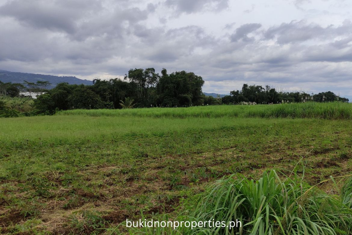 Land for Sale in Lilingayon, Valencia, Bukidnon – photo 7