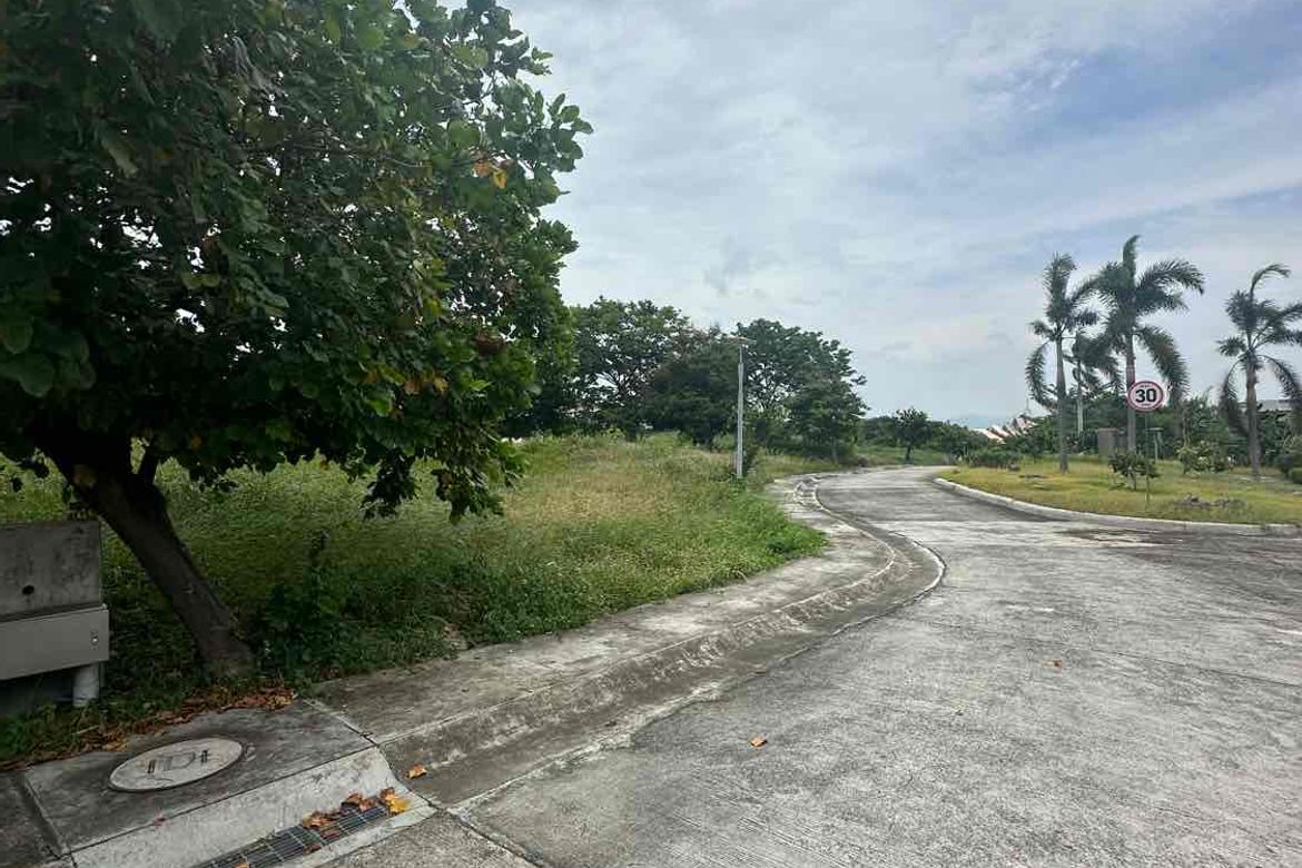 Land for Sale in Liloan, Cebu – photo 4