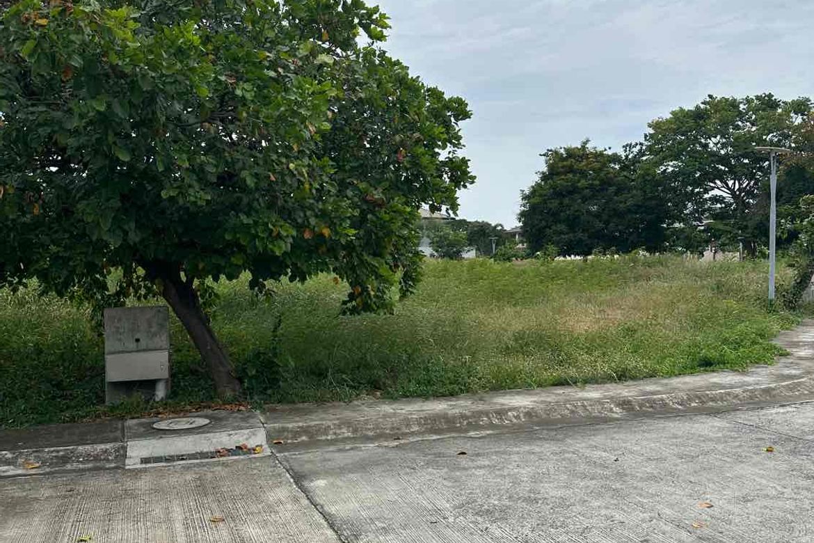 Land for Sale in Liloan, Cebu – photo 8