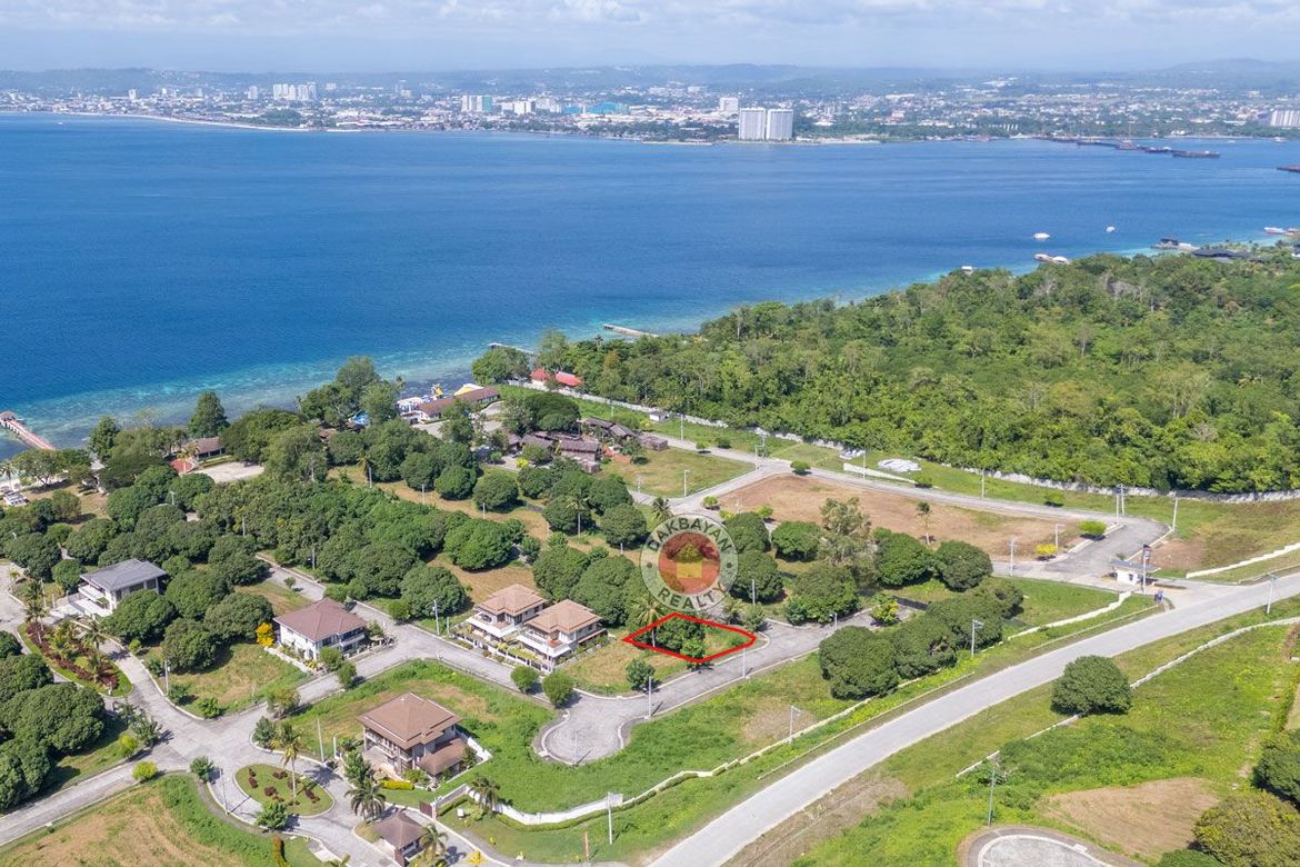 Land for Sale in Limao, Samal, Davao del Norte – photo 3