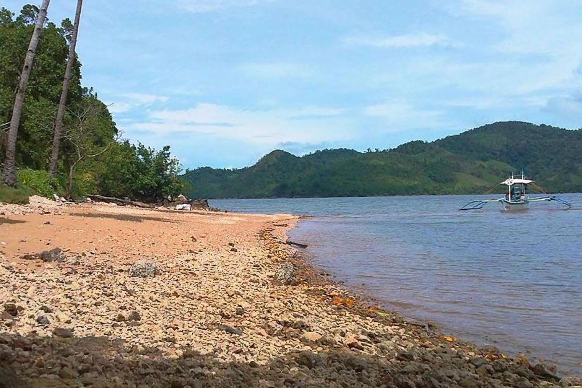 Land for Sale in Liminangcong, Taytay, Palawan – photo 6