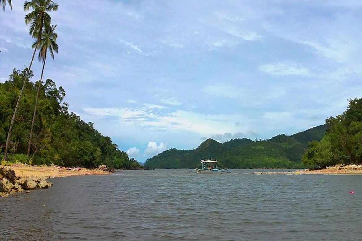 Land for Sale in Liminangcong, Taytay, Palawan – photo 7