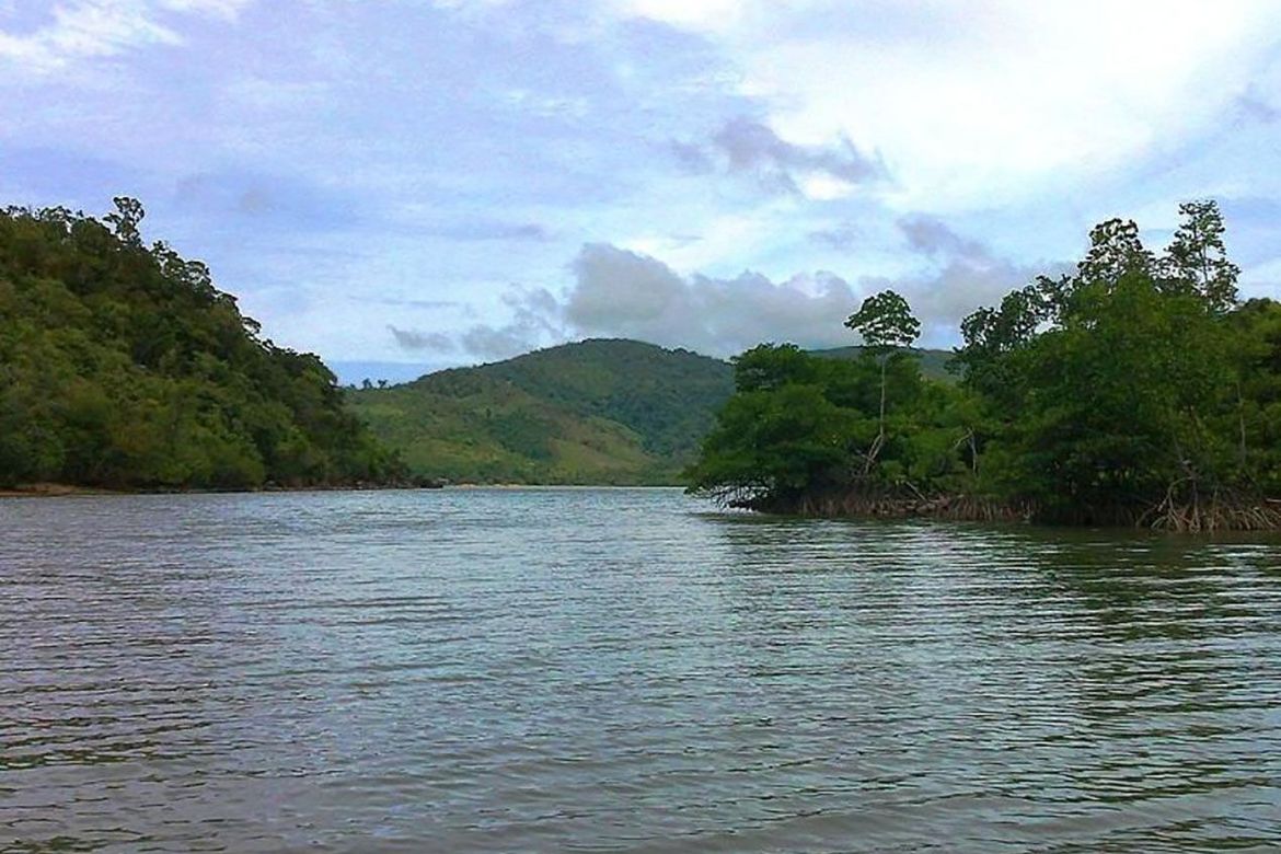 Land for Sale in Liminangcong, Taytay, Palawan – photo 8