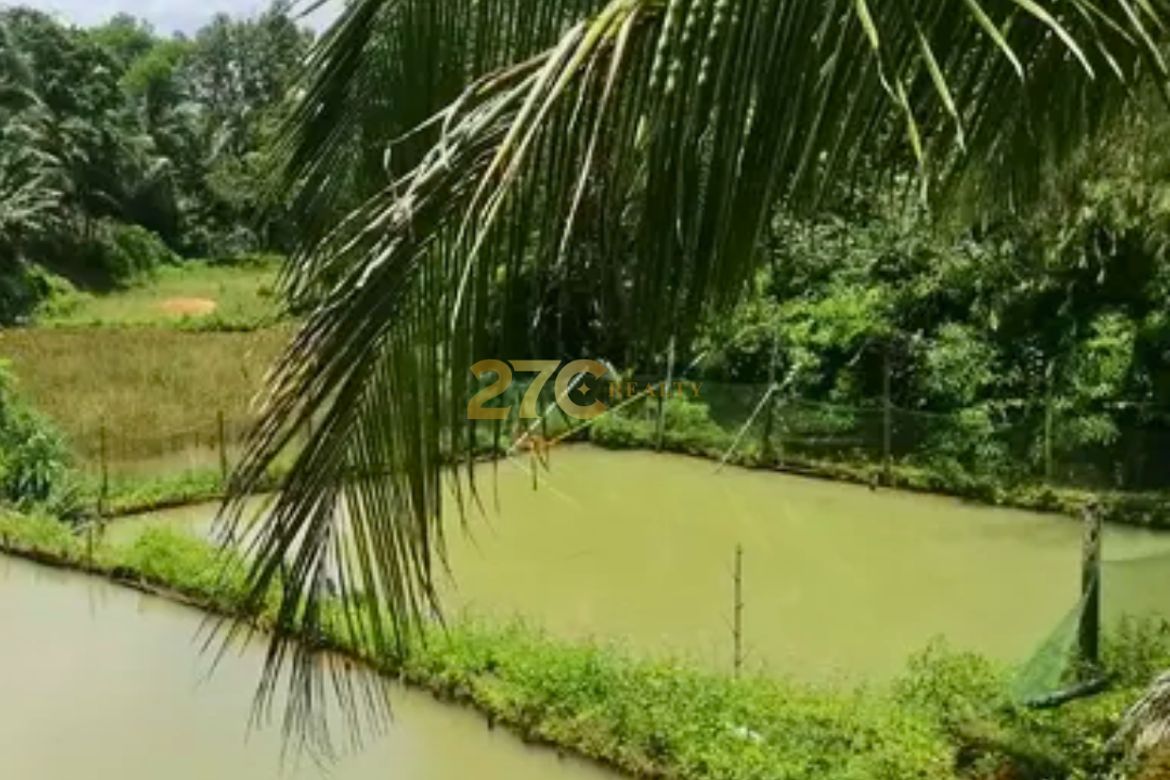 Land for Sale in Linantayan, Basay, Negros Oriental – photo 2
