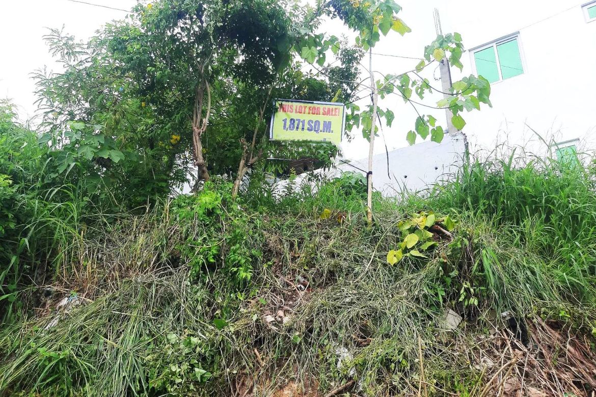 Land for Sale in Linao, Talisay, Cebu – photo 2