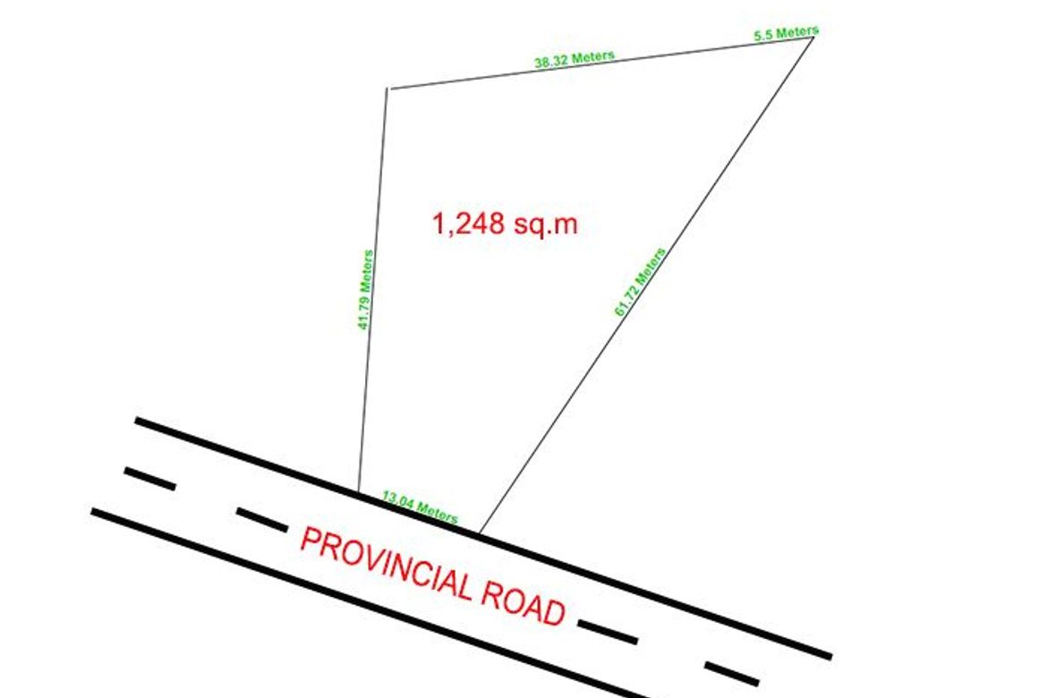 Land for Sale in Lincod, Maribojoc, Bohol – photo 2