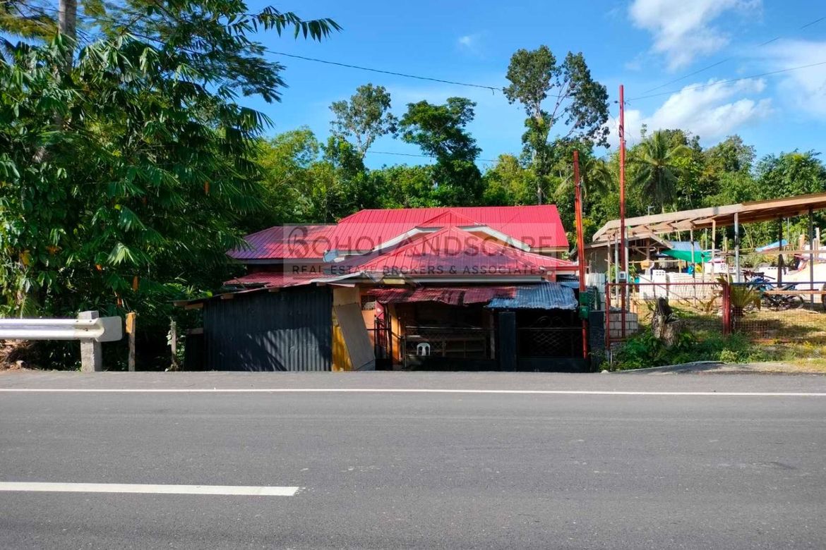 Land for Sale in Lincod, Maribojoc, Bohol – photo 4