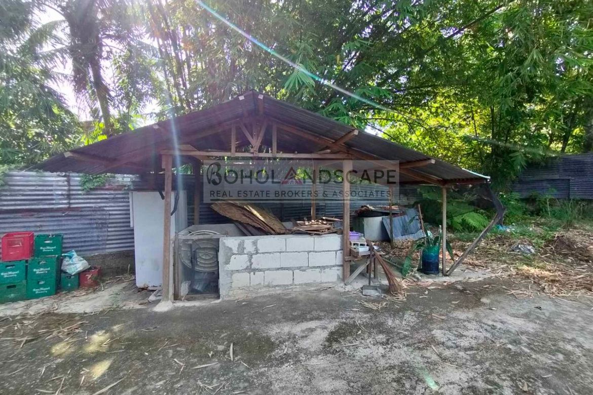 Land for Sale in Lincod, Maribojoc, Bohol – photo 6