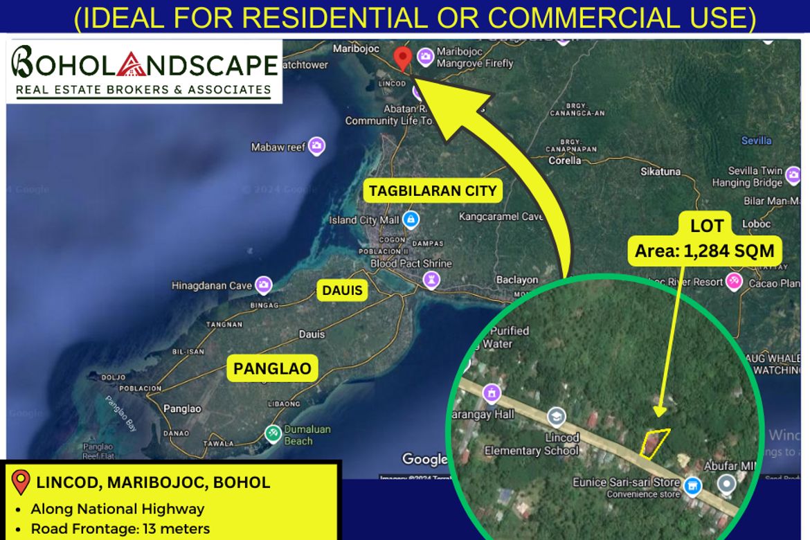 Land for Sale in Lincod, Maribojoc, Bohol – photo 7