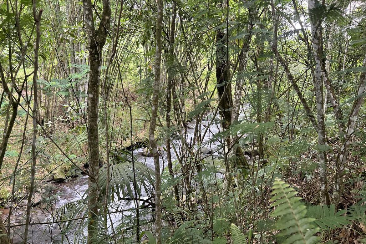 Land for Sale in Lindaban, Manolo Fortich, Bukidnon – photo 3