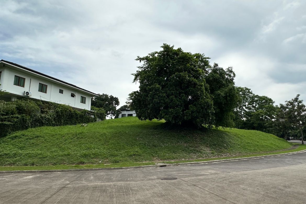 Land for Sale in Lindenwood Residences, Tunasan, Muntinlupa, Metro Manila