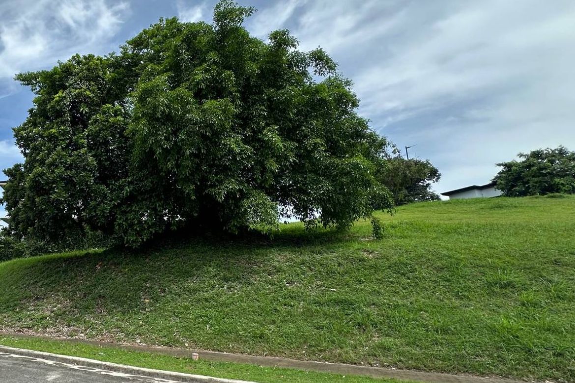 Land for Sale in Lindenwood Residences, Tunasan, Muntinlupa, Metro Manila – photo 2