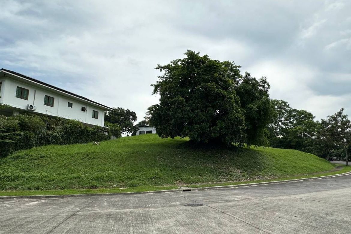 Land for Sale in Lindenwood Residences, Tunasan, Muntinlupa, Metro Manila – photo 4