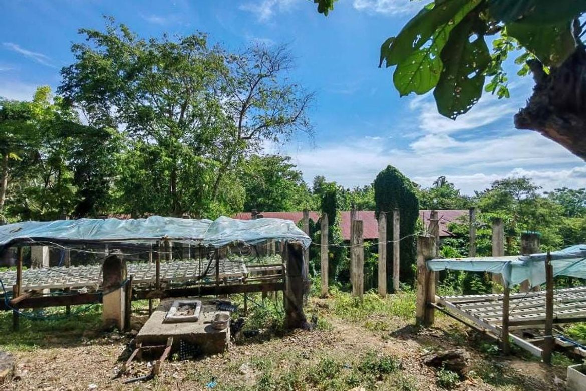 Land for Sale in Lindogon, Sibonga, Cebu – photo 2