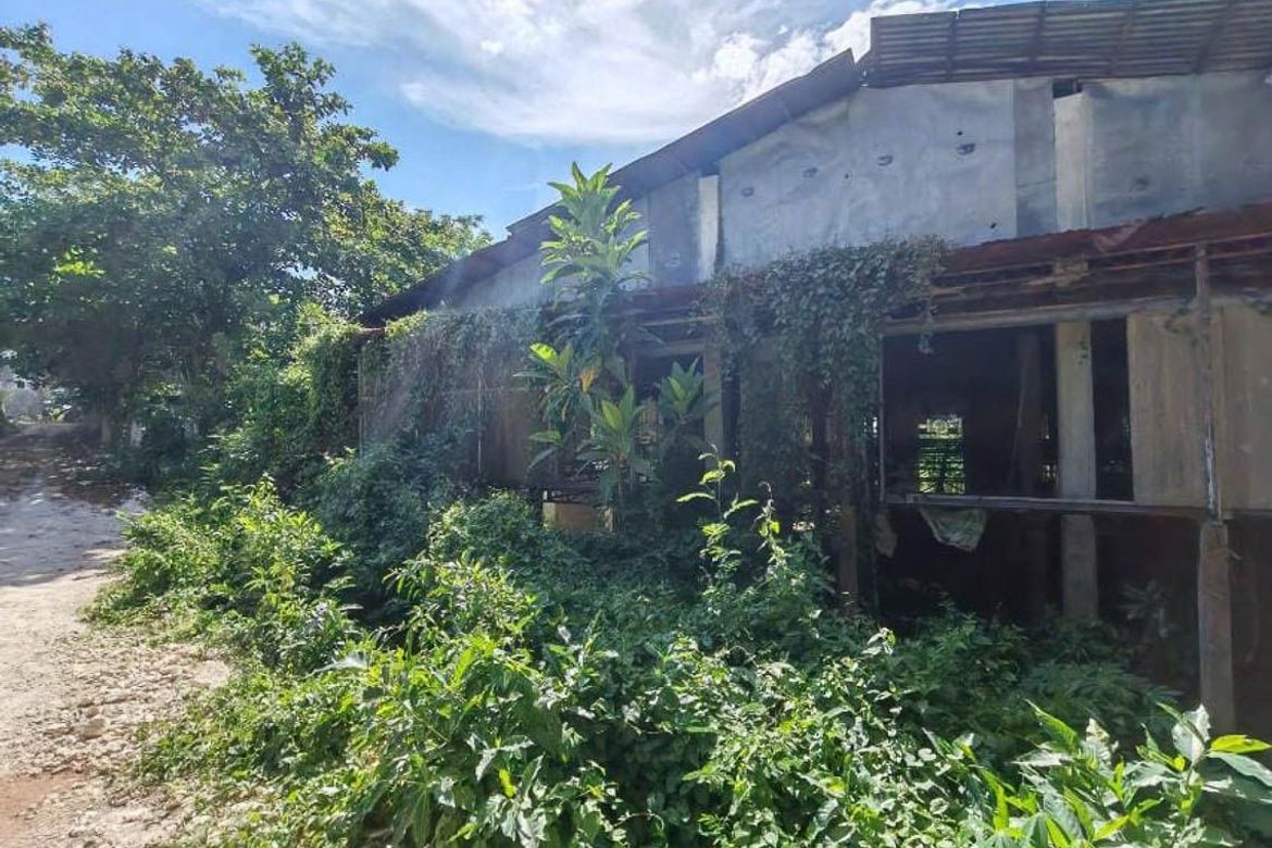 Land for Sale in Lindogon, Sibonga, Cebu – photo 3