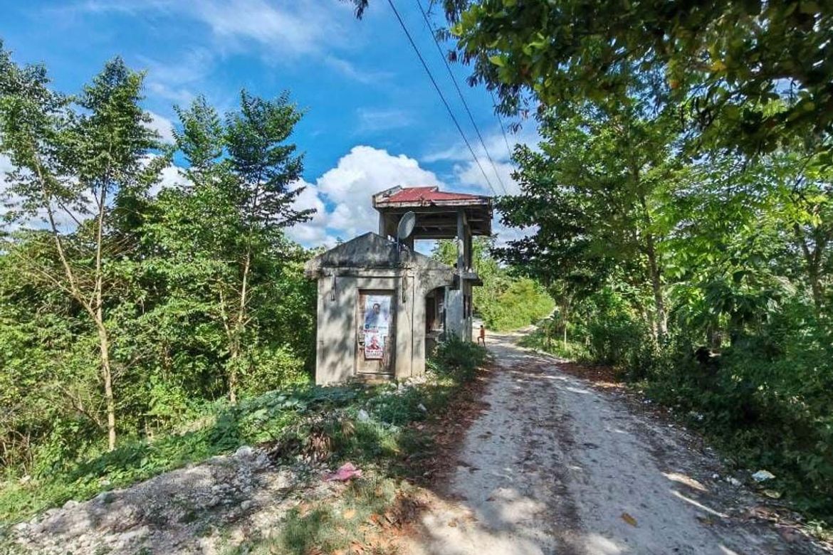 Land for Sale in Lindogon, Sibonga, Cebu – photo 5