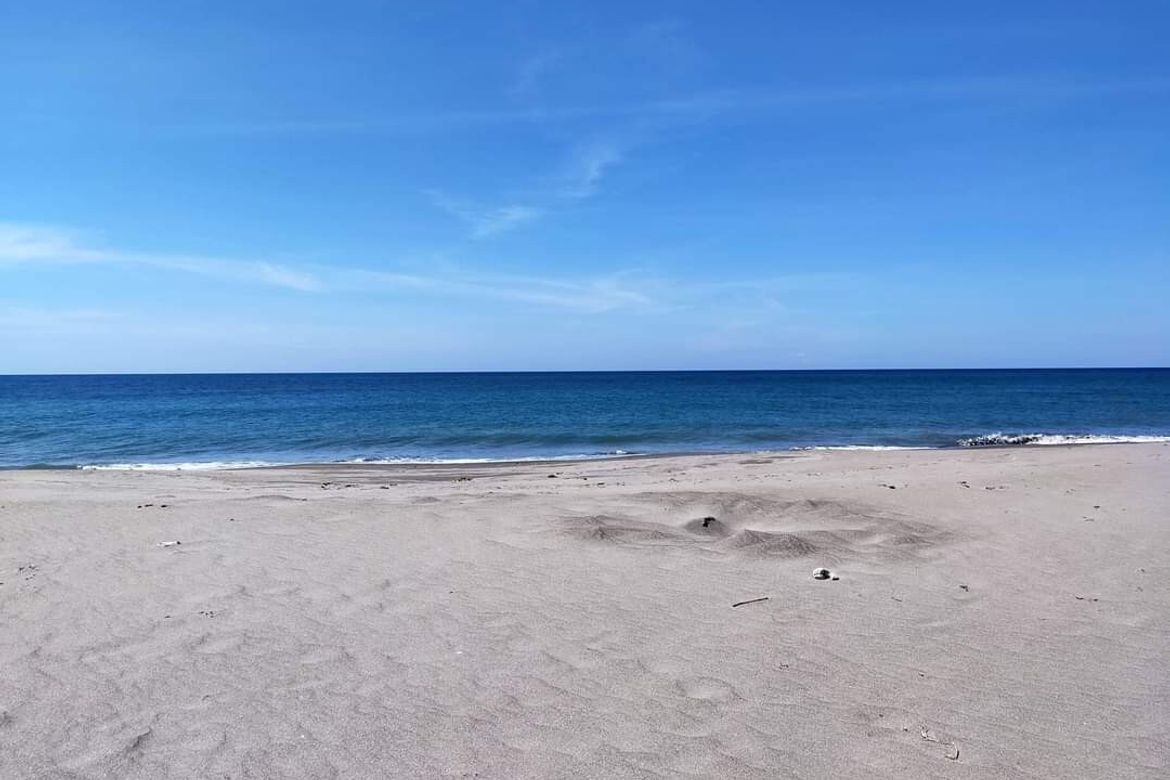 Land for Sale in Lipay-Dingin-Panibuatan, Iba, Zambales – photo 2