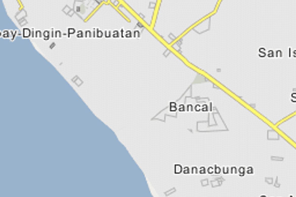 Land for Sale in Lipay-Dingin-Panibuatan, Iba, Zambales – photo 3