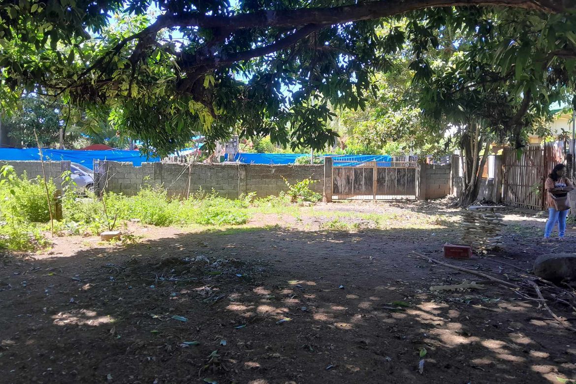 Land for Sale in Lipay, Villasis, Pangasinan – photo 5
