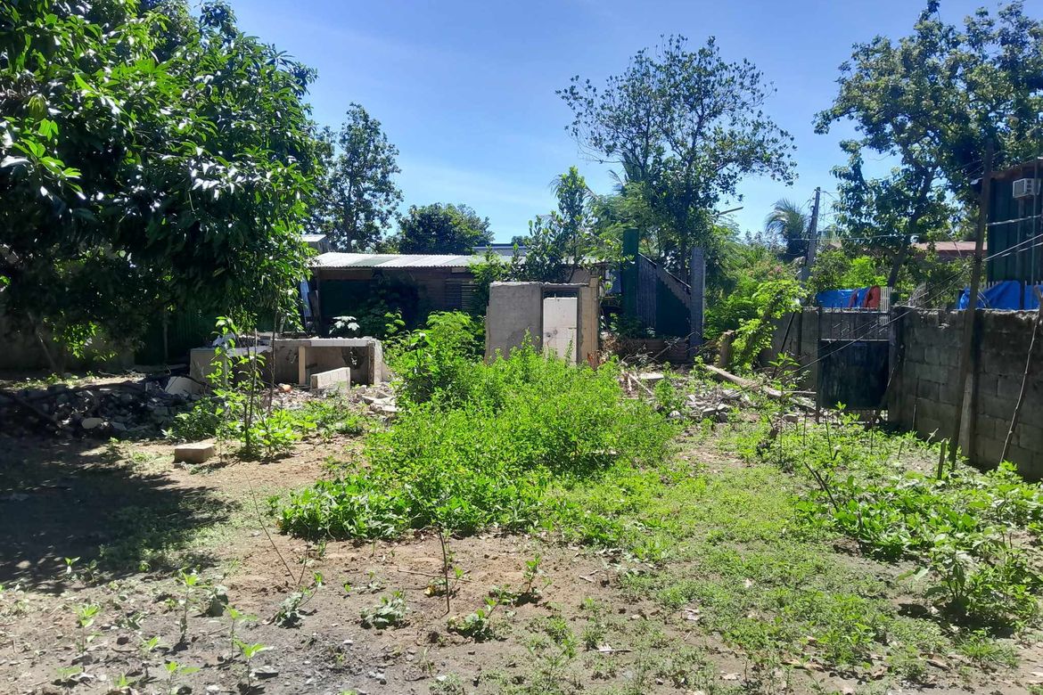 Land for Sale in Lipay, Villasis, Pangasinan – photo 6