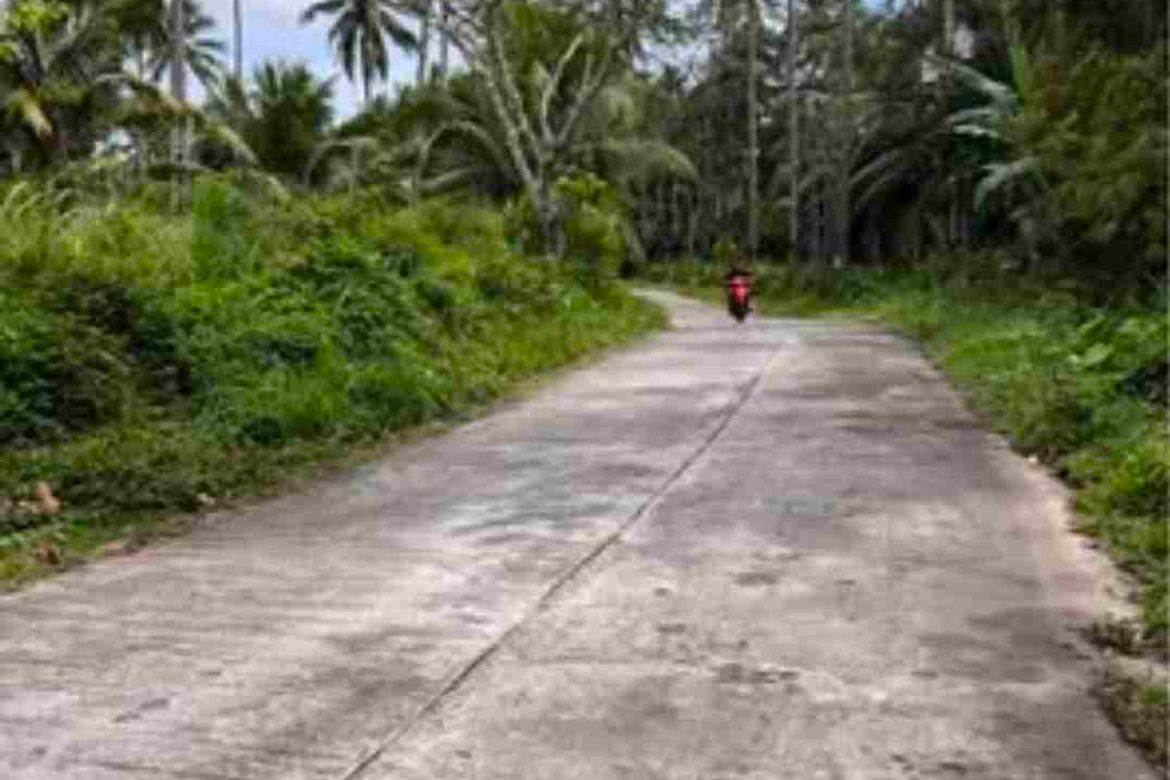 Land for Sale in Liptong, Bacong, Negros Oriental – photo 3